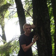 ���������� ����, ���� ������� Nikola, 55 ���, ������������ 