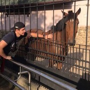 ���������� �������, ���� ������� ������, 30 ���, ������������ ��� ����� � ���������, c�������� ���������, ���������