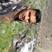  ,   Dol, 37 ,   ,   , c , 
