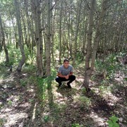  ,   , 29 ,   ,   , c 