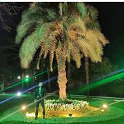 ���������� ������������, ���� ������� ���, 28 ���, ������������ ��� ������, ����� � ���������