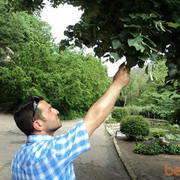  ,   Tvoe Schaste, 42 ,     , c 