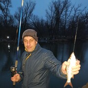 ���������� ���������, ���� ������� ������, 36 ���, ������������ ��� ����� � ���������, c�������� ���������