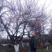  ,   Vitali, 63 ,     , c 