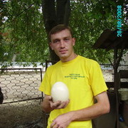 ���������� ���������, ���� ������� Guf174402, 42 ����, ������������ ��� ������