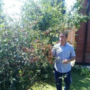 ���������� �����������, ���� ������� �����, 45 ���, ������������ ��� ������, ����� � ���������, c�������� ���������