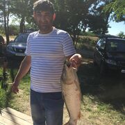 ���������� ������ ��������, ���� ������� ��������, 48 ���, ������������ ��� ������, ����� � ���������