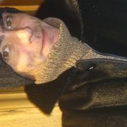 ���������� ����-���������, ���� ������� ����, 49 ���, ������������ ��� ������