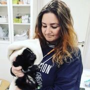  Milan,   , 33 ,   ,   , c 