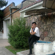  ,  elcan, 33
