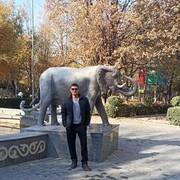 ���������� �����������, ���� ������� ���������, 37 ���, ������������ ��� ������, ����� � ���������, c�������� ���������