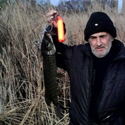  ,   , 70 ,  