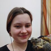 ���������� �������, ������� ����, 21