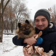 ���������� ������, ���� ������� �������, 39 ���, ������������ ��� ������, ����� � ���������