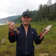 ���������� ������������, ���� ������� �����, 34 ����, ������������ ��� ������, ����� � ���������, c�������� ���������