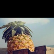 ���������� �������, ������� ����, 29