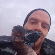 ���������� ���������, ���� ������� �����, 42 ����, ������������ ��� ������, ����� � ���������