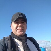  ,   Elman, 39 ,   ,   