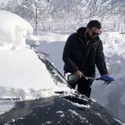 ���������� ������, ���� ������� Saba, 28 ���, ������������ ��� ������, ����� � ���������