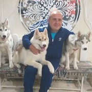 ���������� ������, ���� ������� �������, 40 ���, ������������ ��� ����� � ���������, c�������� ���������