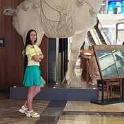 ���������� ������, ���� ������� ���������, 42 ����, ������������ ��� c�������� ���������