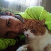 ���������� �����������, ���� ������� ��������, 38 ���, ������������ 