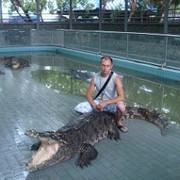  ,   , 46 ,   