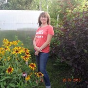 ���������� ���������, ���� ������� ������, 38 ���, ������������ ��� ������, ����� � ���������