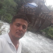 ���������� ������, ���� ������� �����, 38 ���, ������������ ��� ������, ����� � ���������, c�������� ���������