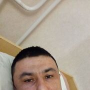  -,   , 31 ,     , c 