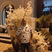  ,   , 44 ,   ,   , 