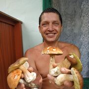 ���������� ������, ���� ������� �����, 55 ���, ������������ ��� ������, ����� � ���������