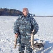 ���������� ������, ���� ������� ������, 43 ����, ������������ ��� ������