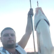  ,   Febor, 38 ,   ,   , c 