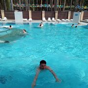 ���������� ���������, ���� ������� ����, 50 ���, ������������ ��� c�������� ���������, ���������