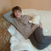  ,   , 51 ,   