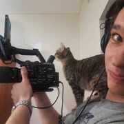 ���������� ������, ���� ������� ������, 38 ���, ������������ ��� ������, ����� � ���������, c�������� ���������, ���������