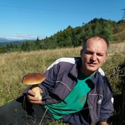   ,  ed, 55