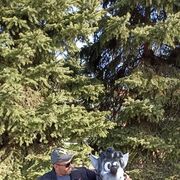 ���������� ��������, ���� ������� ����, 41 ���, ������������ ��� ������, ����� � ���������