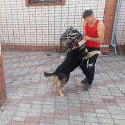 ���������� �����������, ���� ������� �������, 27 ���, ������������ ��� ������, ����� � ���������