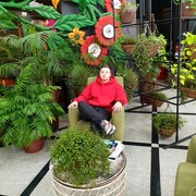 ���������� ���������, ���� ����� ����, 22 ����, ������������ ��� ������, ����� � ���������