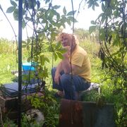 ���������� �����-���������, ���� ������� �������, 63 ����, ������������ ��� ������, ����� � ���������, ���������