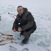 ���������� �����, ���� ������� MarcinDavid, 60 ���, ������������ ��� ������, ����� � ���������, c�������� ���������