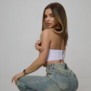 ���������� �����������, ���