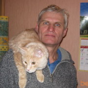  ,   Arkady, 75 ,   ,   , c 