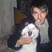  -,   Mircea, 37 ,     , c 