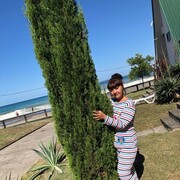  --,   , 42 ,     , c 