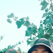 ���������� ���������, ���� ������� �����, 30 ���, ������������ ��� c�������� ���������