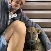 ���������� �����������, ���� ������� ������, 53 ����, ������������ ��� ������, ����� � ���������, c�������� ���������