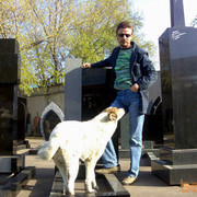 ���������� ������, ���� ������� StalikVII, 56 ���, ������������ ��� ������, ���������